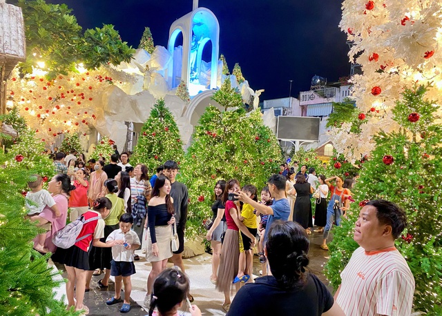 Đông nghịt người đến nơi này check-in ‘rừng thông Noel’ giữa lòng TP.HCM - Ảnh 4.