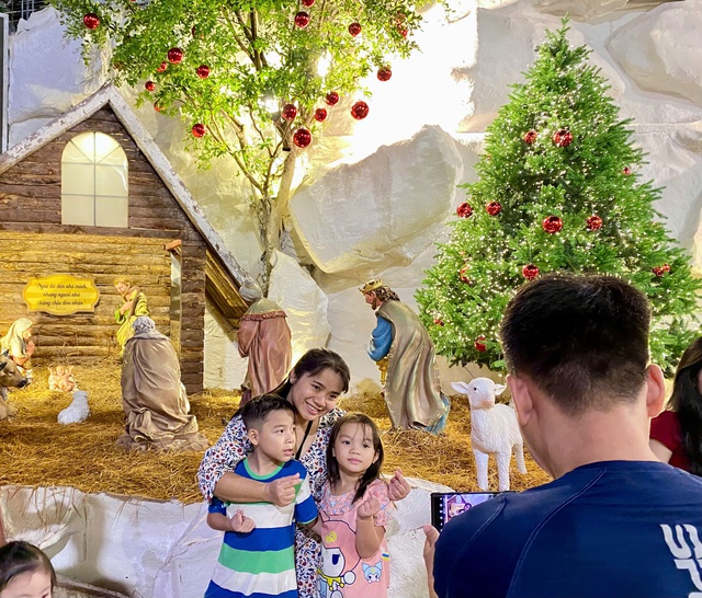 Đông nghịt người đến nơi này check-in ‘rừng thông Noel’ giữa lòng TP.HCM - Ảnh 7.