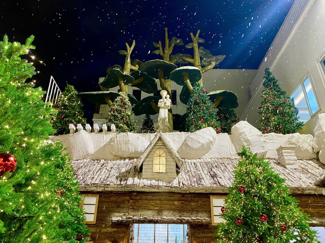 Đông nghịt người đến nơi này check-in ‘rừng thông Noel’ giữa lòng TP.HCM - Ảnh 3.