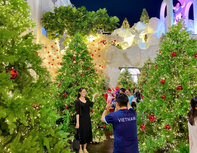 Đông nghịt người đến nơi này check-in ‘rừng thông Noel’ giữa lòng TP.HCM - Ảnh 10.