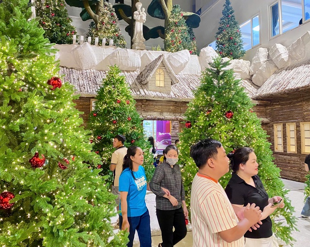 Đông nghịt người đến nơi này check-in ‘rừng thông Noel’ giữa lòng TP.HCM - Ảnh 8.