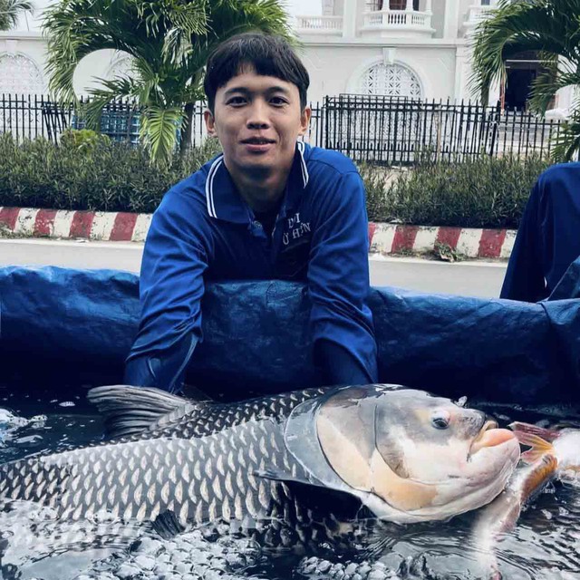 Nghĩa hiệp đời thường: Những ch&agrave;ng trai đưa c&aacute; &ldquo;khủng&rdquo; trở về thi&ecirc;n nhi&ecirc;n - Ảnh 3.