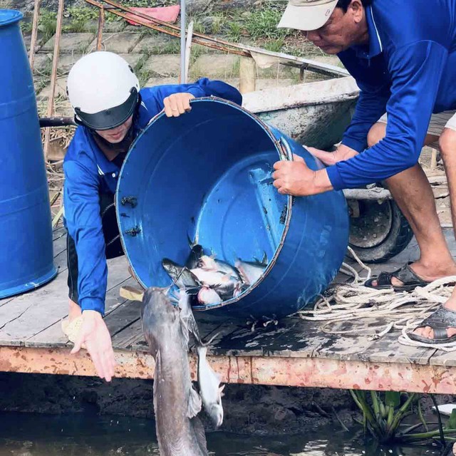 Nghĩa hiệp đời thường: Những ch&agrave;ng trai đưa c&aacute; &ldquo;khủng&rdquo; trở về thi&ecirc;n nhi&ecirc;n - Ảnh 2.