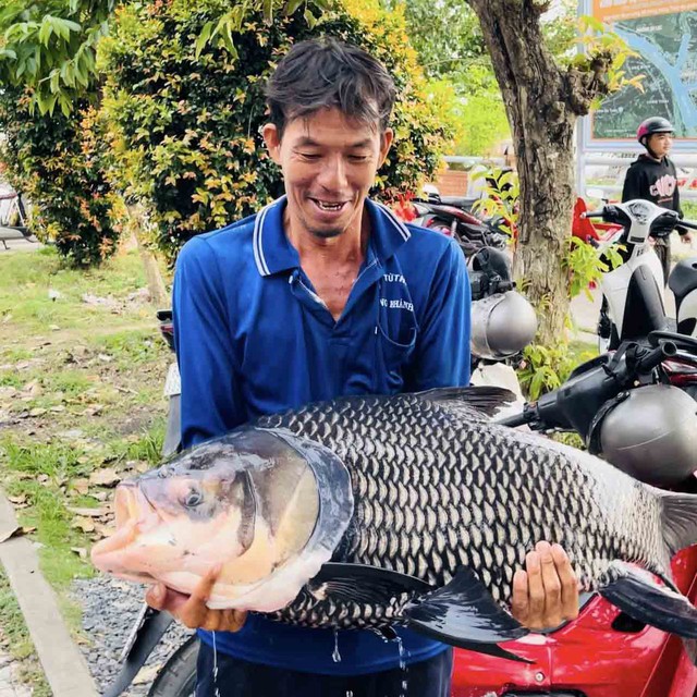 Nghĩa hiệp đời thường: Những ch&agrave;ng trai đưa c&aacute; &ldquo;khủng&rdquo; trở về thi&ecirc;n nhi&ecirc;n - Ảnh 4.
