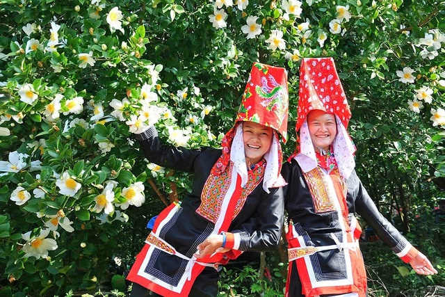 Về Lục Hồn ngắm hoa Sở nở trắng rừng - Ảnh 1.