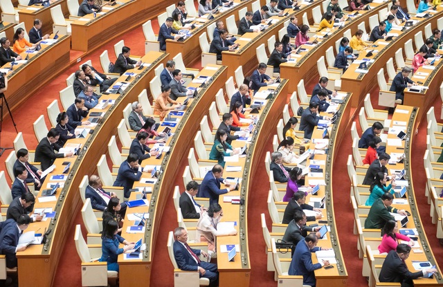 TP.HCM tiếp nhận hồ sơ ứng cử đại biểu Quốc hội và HĐND từ ngày 15.12 - Ảnh 1.