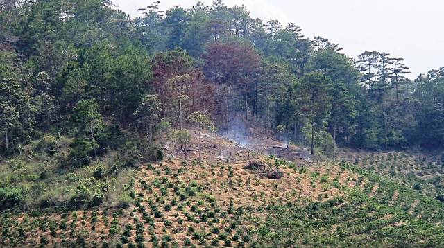 Vì sao tỉnh Lâm Đồng thu hồi toàn bộ diện tích dự án Sài Gòn Đại Ninh? - Ảnh 3.