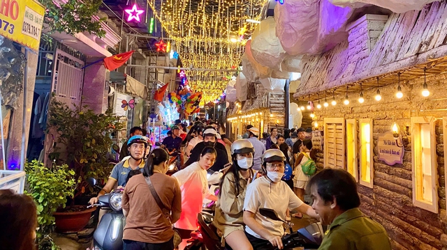 Đông nghịt người đến nơi này check-in ‘rừng thông Noel’ giữa lòng TP.HCM - Ảnh 2.