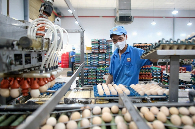 Gi&aacute; h&agrave;ng thiết yếu nhấp nhổm tăng- Ảnh 1.