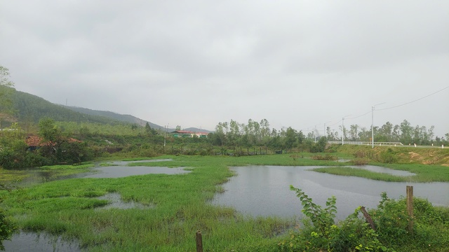 Nước thải b&atilde;i r&aacute;c chảy tr&agrave;n ra suối, người d&acirc;n lo ngại &ocirc; nhiễm- Ảnh 4.