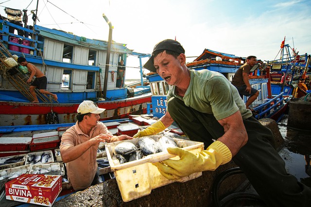 Bivina kho&aacute;c &aacute;o tết mới: Vẫn vị bia &ecirc;m đằm, vẫn tinh thần miền biển bền bỉ- Ảnh 3.
