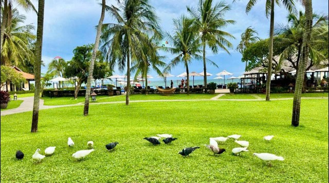 ‘Nụ cười Việt Nam’ được ông Trần Anh Thi kiên trì giữ lại trong ngành mến khách- Ảnh 5. ‘Nụ cười Việt Nam’ được ông Trần Anh Thi kiên trì giữ lại trong ngành mến khách- Ảnh 5.