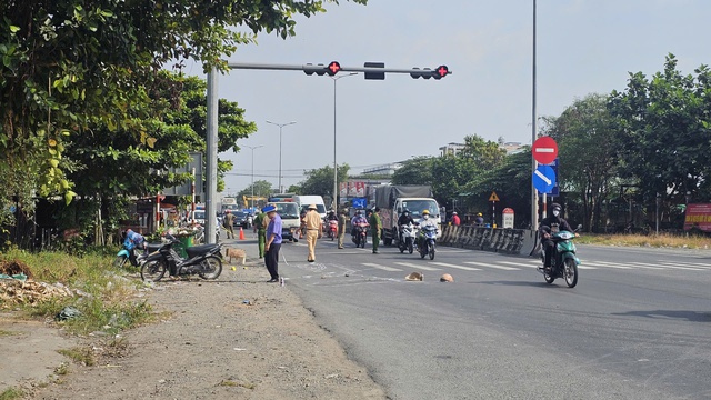 Truy t&igrave;m xe &ocirc; t&ocirc; vụ cụ b&agrave; bị c&aacute;n tử vong gần cầu Mỹ Thuận - Ảnh 1.