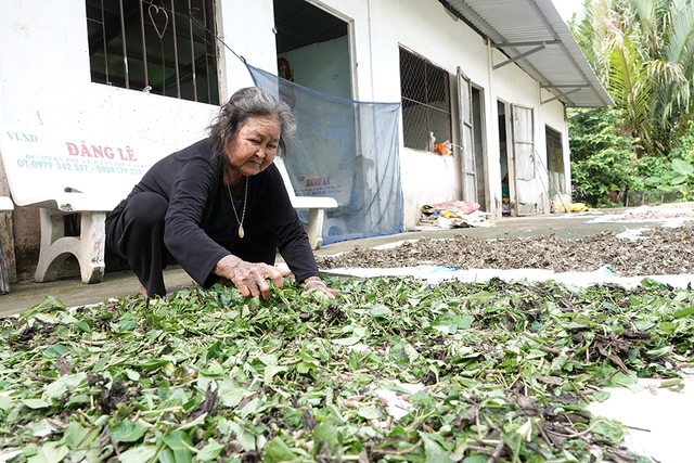 Cụ bà Lê Thị Dồi hơn 20 năm mang thuốc nam giúp người nghèo Tại Cần Thơ - Ảnh 2. Cụ bà Lê Thị Dồi hơn 20 năm mang thuốc nam giúp người nghèo Tại Cần Thơ - Ảnh 2.