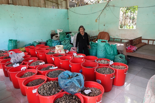 Cụ bà Lê Thị Dồi hơn 20 năm mang thuốc nam giúp người nghèo Tại Cần Thơ - Ảnh 3. Cụ bà Lê Thị Dồi hơn 20 năm mang thuốc nam giúp người nghèo Tại Cần Thơ - Ảnh 3.