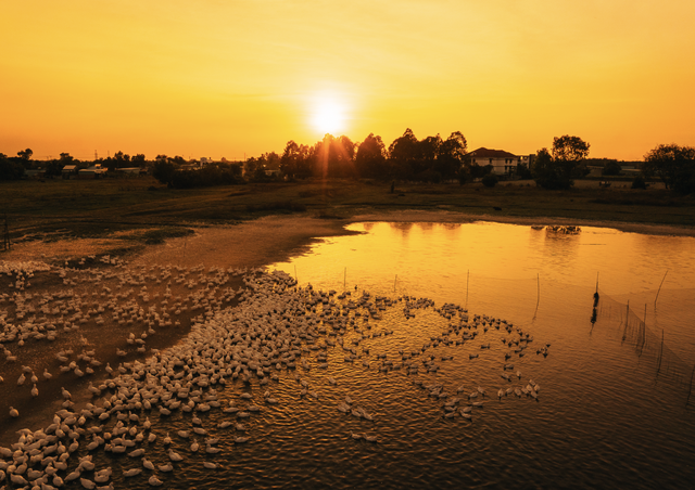 Bão mặt trời đến sớm hơn dự báo của chuyên gia: Hôm nay 19.12, tình hình thế nào?- Ảnh 2. Bão mặt trời đến sớm hơn dự báo của chuyên gia: Hôm nay 19.12, tình hình thế nào?- Ảnh 2.