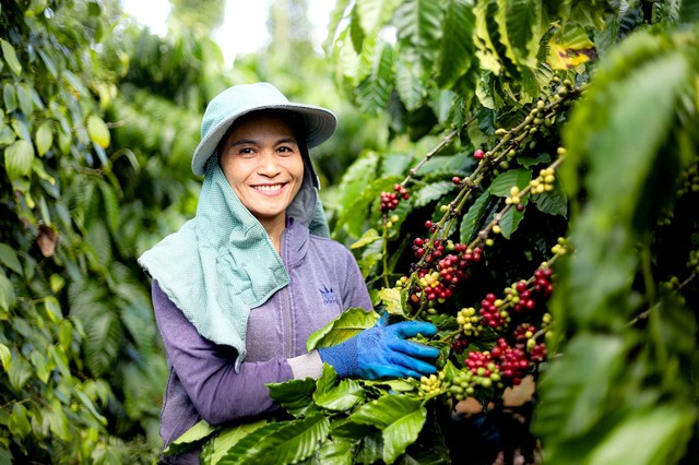 - Ảnh 2. - Ảnh 2.