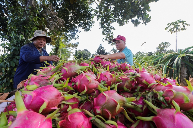 Xuất nhập khẩu lập kỷ lục 920 tỉ USD- Ảnh 1.