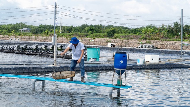 De Heus k&yacute; kết hợp t&aacute;c với Tập đo&agrave;n Minh Ph&uacute; nu&ocirc;i t&ocirc;m v&agrave; c&aacute; r&ocirc; phi- Ảnh 2.