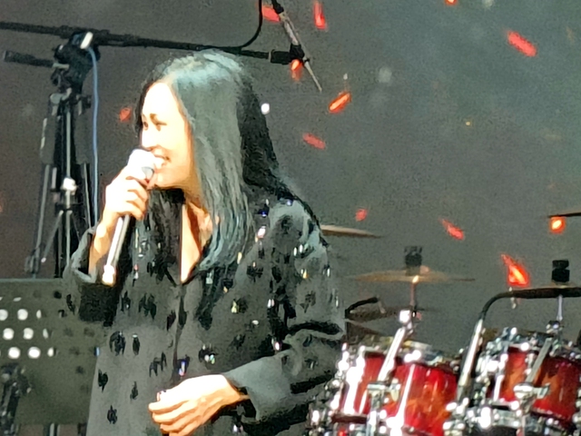 Phương Thanh l&agrave;m b&ugrave;ng nổ cả đ&ecirc;m thiện nguyện- Ảnh 1.