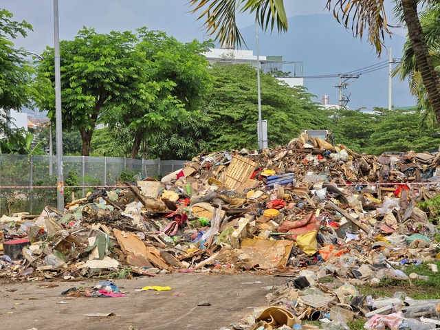 Khánh Hòa sẽ hoàn thành việc thu gom rác thải sau lũ trước 5.12 - Ảnh 2.
