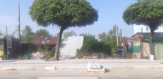 C&agrave; Mau: Ba hộ d&acirc;n tố việc chi trả bồi thường khi đang tranh chấp - Ảnh 1.