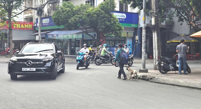 Người đ&agrave;n &ocirc;ng dắt ch&oacute; đi bộ khắp S&agrave;i G&ograve;n xin việc - Ảnh 3.