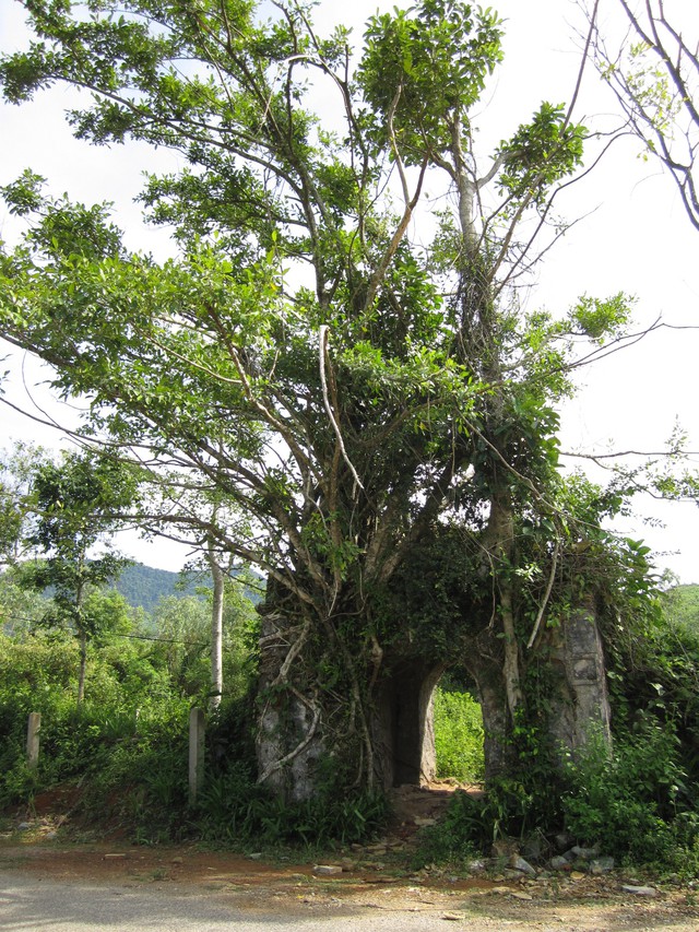 Cuộc khởi nghĩa Cần Vương đầu ti&ecirc;n - Ảnh 5.