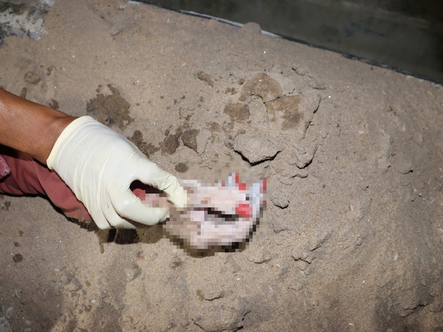 TP.HCM: Ph&aacute;t hiện thi thể nữ tr&ecirc;n s&ocirc;ng S&agrave;i G&ograve;n, b&agrave;n tay c&oacute; 6 ng&oacute;n - Ảnh 1.