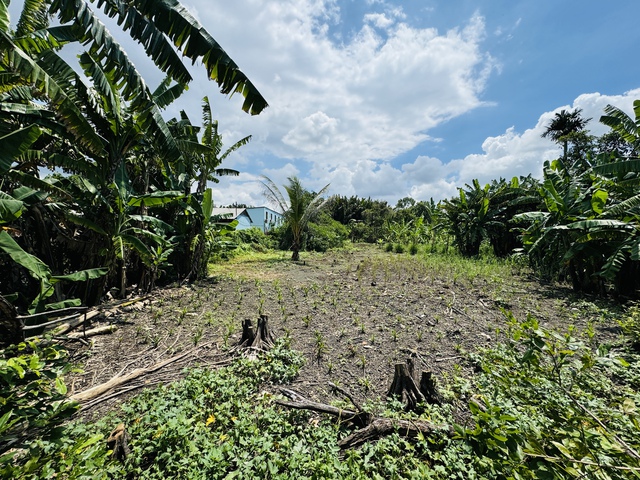 Kiến nghị tăng gi&aacute; đất n&ocirc;ng nghiệp   - Ảnh 1.