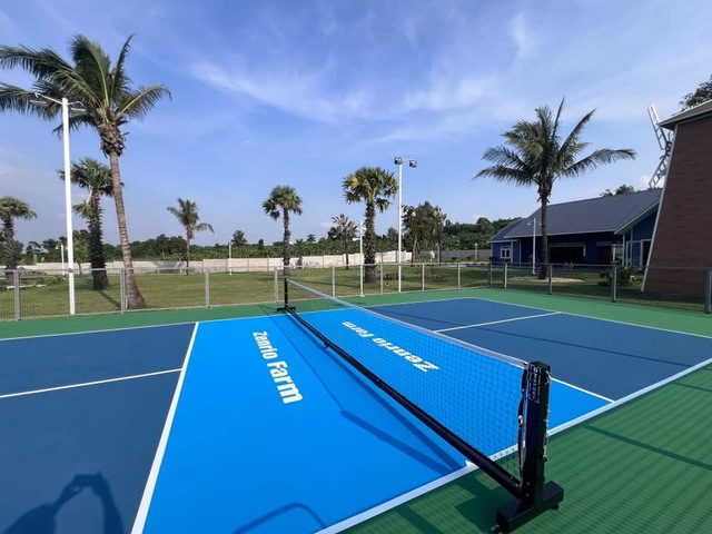TP.HCM: Phường đầu ti&ecirc;n cho ph&eacute;p x&acirc;y s&acirc;n pickleball tr&ecirc;n đất hoang h&oacute;a   - Ảnh 2.