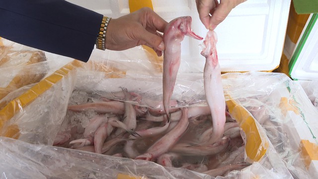 Ph&aacute;t hiện hơn 10 tấn c&aacute; khoai chứa formol - Ảnh 2.