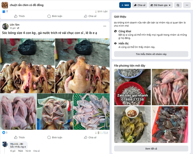 Bu&ocirc;n b&aacute;n chim trời, th&uacute; rừng: 'Chợ đen' c&ocirc;ng khai th&aacute;ch thức ph&aacute;p luật - Ảnh 1.