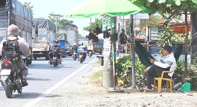 Bu&ocirc;n b&aacute;n chim trời, th&uacute; rừng: 'Chợ đen' c&ocirc;ng khai th&aacute;ch thức ph&aacute;p luật - Ảnh 5.