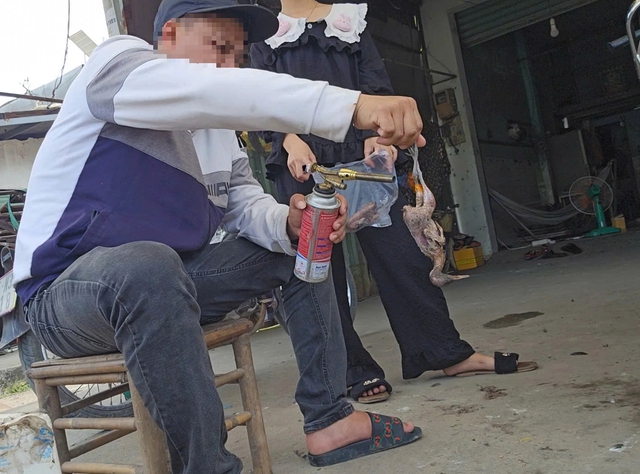 Bu&ocirc;n b&aacute;n chim trời, th&uacute; rừng: 'Chợ đen' c&ocirc;ng khai th&aacute;ch thức ph&aacute;p luật - Ảnh 7.