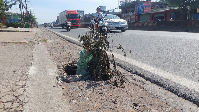 - Ảnh 1. - Ảnh 1.