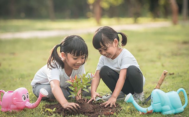 65% ca vi&ecirc;m n&atilde;o Nhật Bản được ghi nhận ở trẻ 5 - 15 tuổi- Ảnh 1.