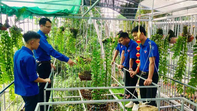 Thanh ni&ecirc;n khởi nghiệp bắt đầu từ đ&acirc;u ?- Ảnh 1.