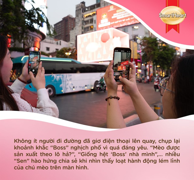 Cộng đồng &lsquo;Sen&rsquo; th&iacute;ch th&uacute; với m&egrave;o 3D th&ocirc;ng minh, đ&aacute;ng y&ecirc;u y hệt &lsquo;Boss&rsquo; nh&agrave; m&igrave;nh - Ảnh 2.