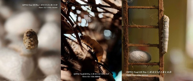 Từ camera 200MP Hasselblad đến Tele-Macro, mọi chi tiết đều th&agrave;nh t&acirc;m điểm với Find X9 Pro - Ảnh 4.