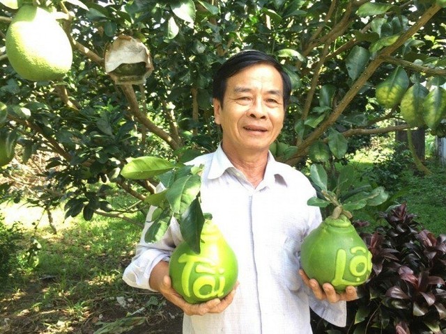 Tr&aacute;i c&acirc;y tạo h&igrave;nh Tết B&iacute;nh Ngọ: Nh&agrave; vườn miền T&acirc;y chăm ch&uacute;t từng sản phẩm- Ảnh 1.