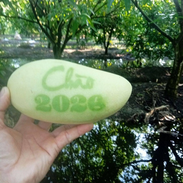 Tr&aacute;i c&acirc;y tạo h&igrave;nh Tết B&iacute;nh Ngọ: Nh&agrave; vườn miền T&acirc;y chăm ch&uacute;t từng sản phẩm- Ảnh 2.