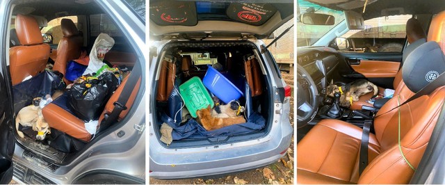 Bắt nh&oacute;m đi &ocirc; t&ocirc; trộm ch&oacute; ở Đồng Nai- Ảnh 1.