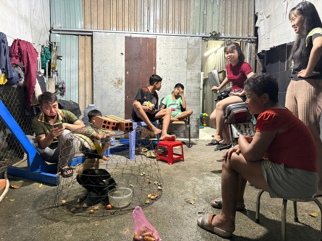 Li&ecirc;n tiếp bắt được chim Hồng Ho&agrave;ng qu&yacute; hiếm tại H&oacute;c M&ocirc;n - Ảnh 2.