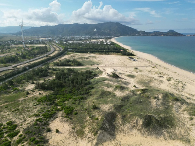 Resort ng&agrave;n tỉ b&ecirc;n biển Gia Lai bị 'khai tử'- Ảnh 1.