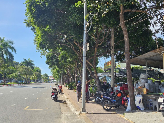 TP.HCM: Người d&acirc;n b&aacute;n c&acirc;y kiểng tr&ecirc;n khu đất c&ocirc;ng gần 2.000 m&eacute;t vu&ocirc;ng, ai quản l&yacute;? - Ảnh 1.