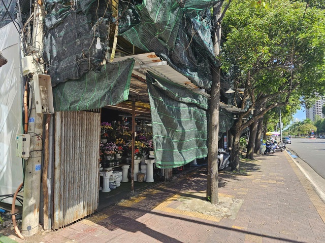 TP.HCM: Người d&acirc;n b&aacute;n c&acirc;y kiểng tr&ecirc;n khu đất c&ocirc;ng gần 2.000 m&eacute;t vu&ocirc;ng, ai quản l&yacute;? - Ảnh 3.