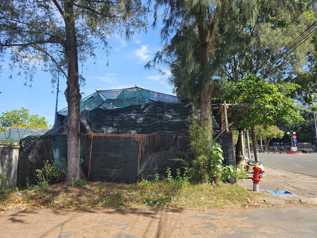 TP.HCM: Người d&acirc;n b&aacute;n c&acirc;y kiểng tr&ecirc;n khu đất c&ocirc;ng gần 2.000 m&eacute;t vu&ocirc;ng, ai quản l&yacute;? - Ảnh 2.