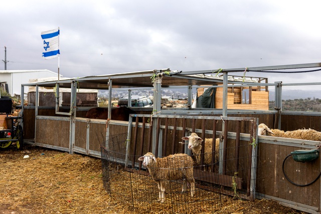 Israel mở rộng khu định cư ở Bờ T&acirc;y g&acirc;y phản ứng - Ảnh 1.