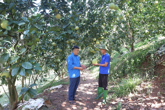 Người trẻ khởi nghiệp với nghề n&ocirc;ng- Ảnh 1.